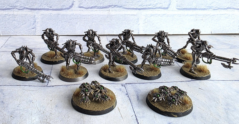 Warhammer 40K Necron Warriors + Scarabs Bundle Assembled Well Painted Based