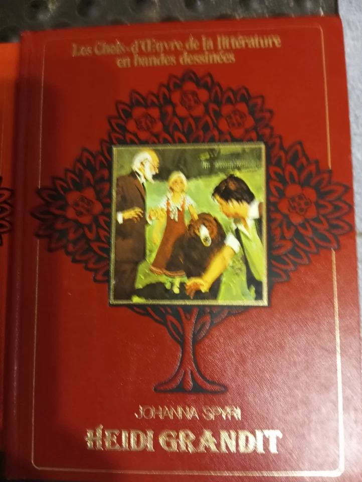 livre heidi grandit  - Photo 1/3