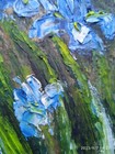 Bild 7 von 12