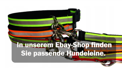 Hundehalsband Nylonhalsband Halsband Reflektierend Signalhalsband Jagdhunde  | eBay.de