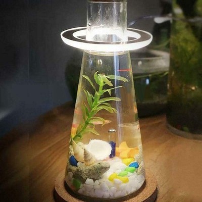 Ring Grow Light Grow Lights 2A 5V Full Specturn Pflanzenleuchten USB Lademethode