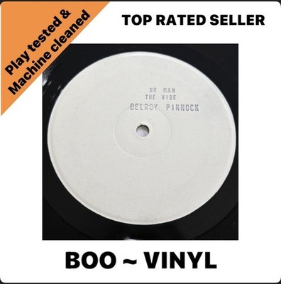 Delroy Pinnock - No Man/The Vibe - 12'' Vinyl - White Label Promo EX