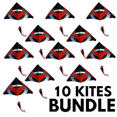 Ring Kite (Multicolor) 6.5x8 ft giant delta easy flyer kite kites