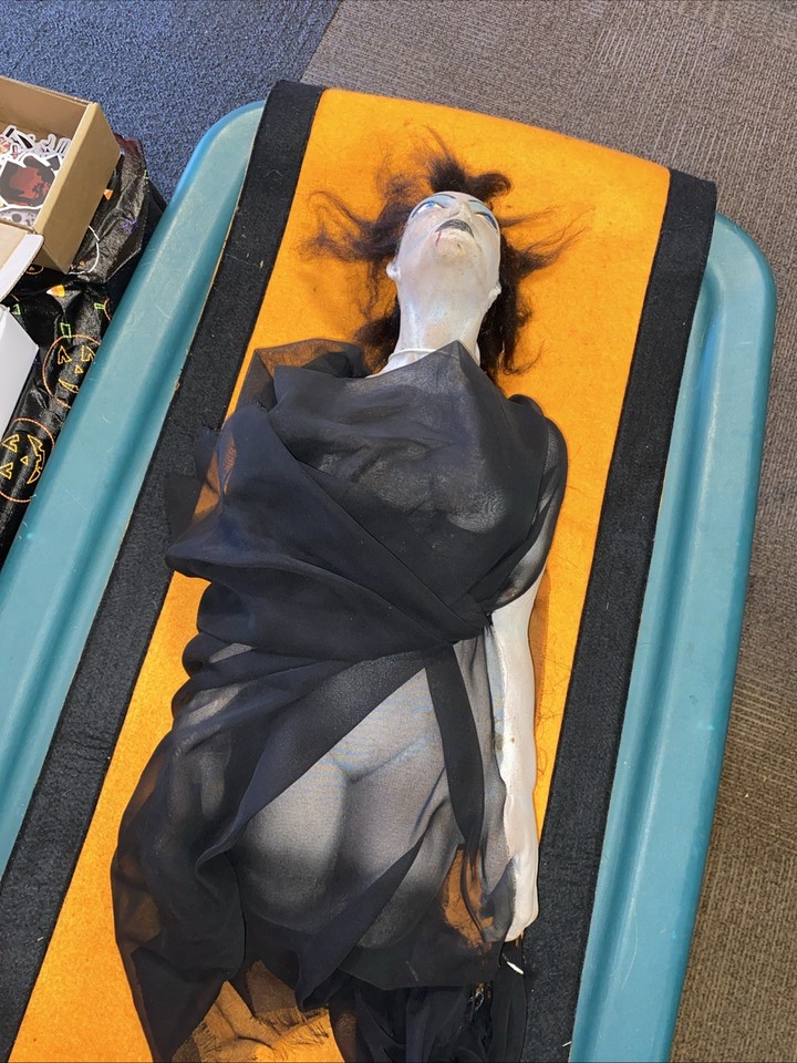 A rare latex foam vampire woman prop that straddles the line between Halloween collectible and full-on cabinet-of-curiosities trophy — the kind of bizarre oddity that becomes the centerpiece of any spooky room.