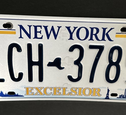 Pair NEW YORK EXCELSIOR License Plate LCH - 3789 - Picture 19 of 24