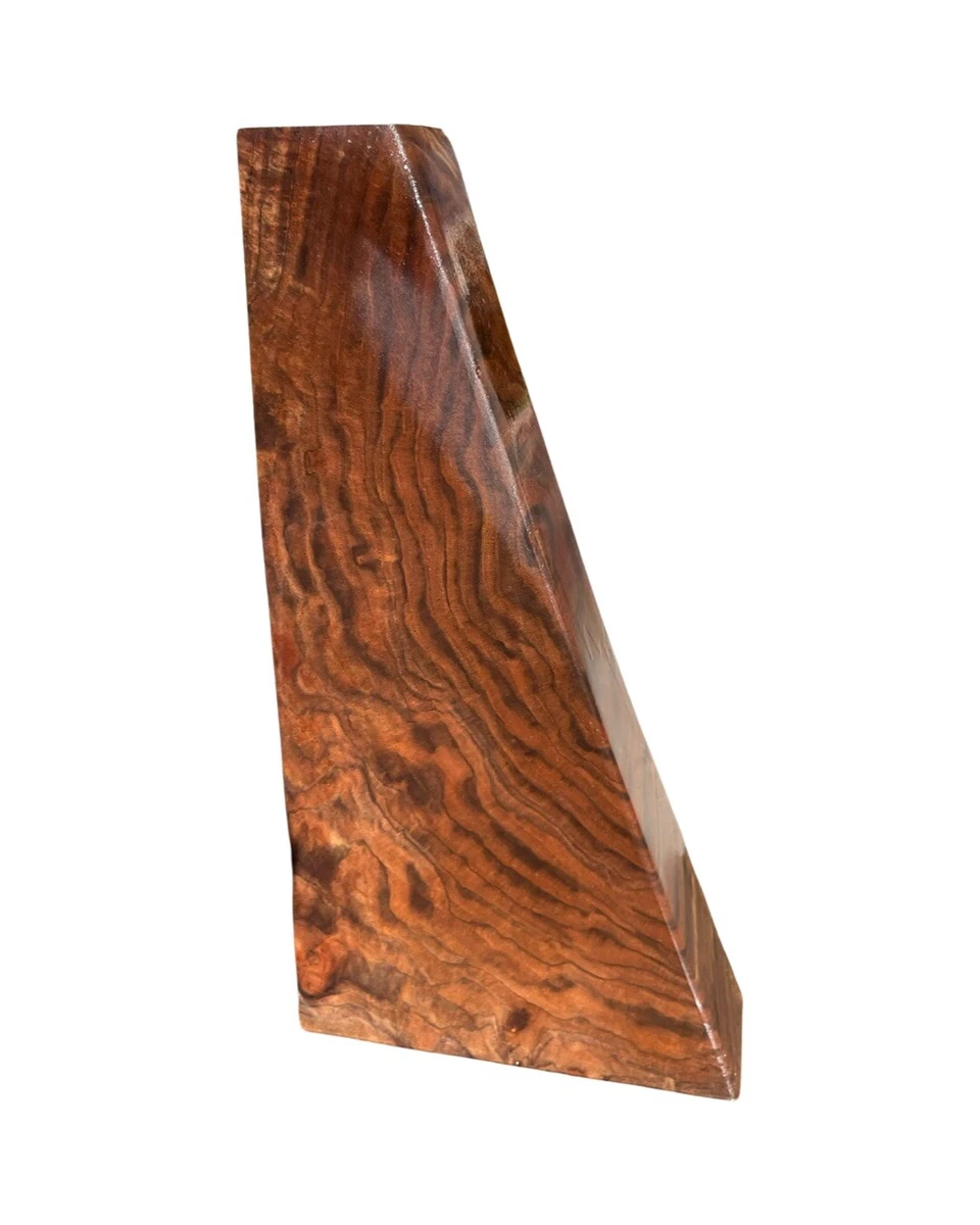 Burl stock 2025