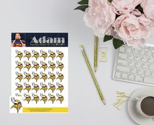 Minnesota Vikings Planner Stickers