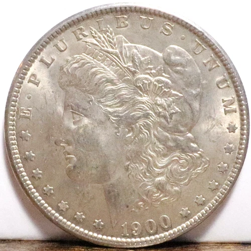 1900 Morgan Silver Dollar MS #207