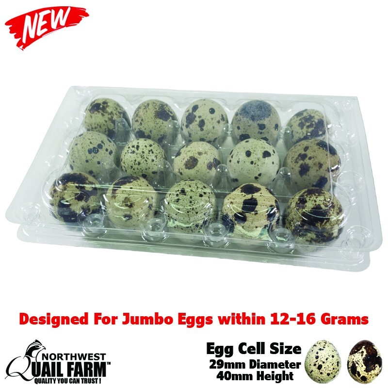 Pintuson 40-Pack Egg Cartons (18 Count) - Clear Plastic Egg Holder for Fresh Chicken