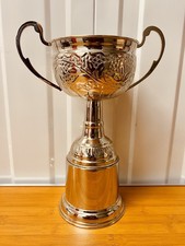 ? Silver Trophy 12? | UnEngraved | Vintage Cup | Award Display or Repurpose #T