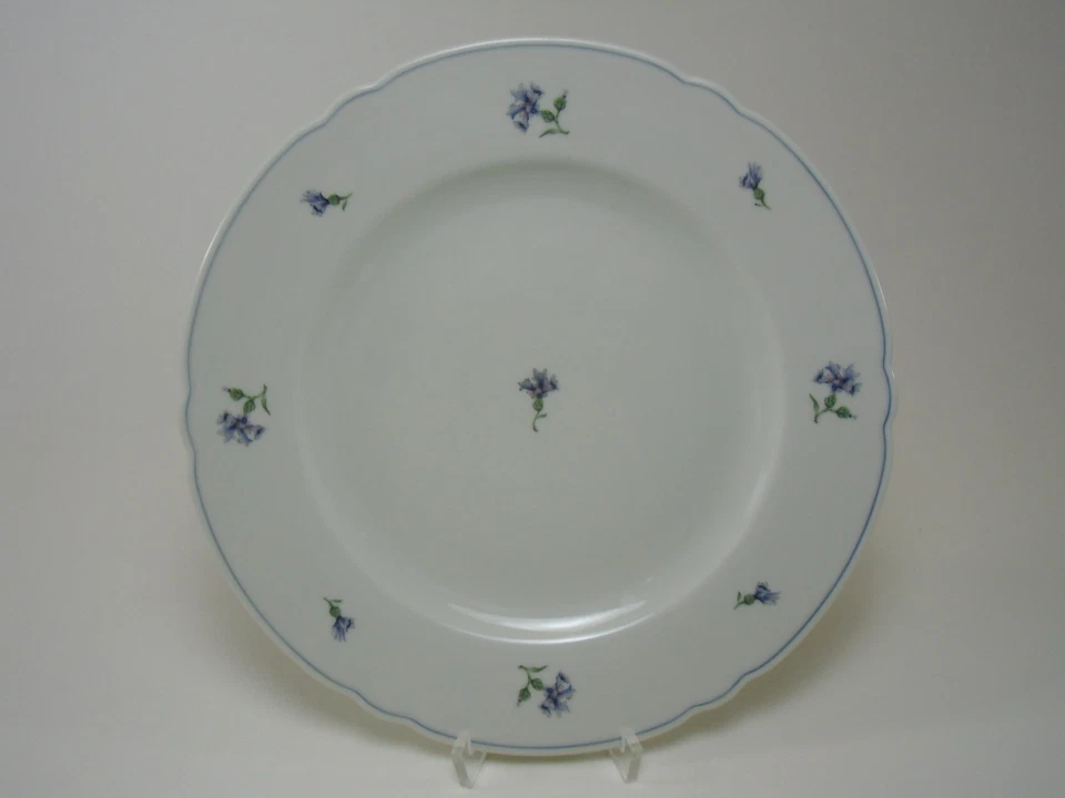 SELTMANN WEIDEN Marie Luise KORNBLUME Speiseteller Teller 25 cm *** - Bild 1 von 1
