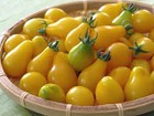 TOMATO,YELLOW PEAR TOMATO SEED, HEIRLOOM, NON GMO, 100 SEEDS, TASTY