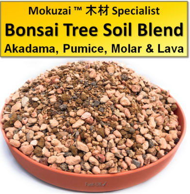Bonsai Trees Potting Soil Mix: Akadama, Pumice, Moler & Lava Rock Pot Blend  1-3L | eBay