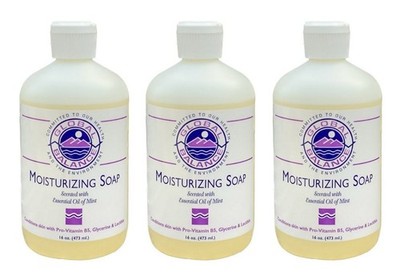Global Balance Mint Moisturizing Soap 16 oz (3 pack) Plant Based Eco-Friendly