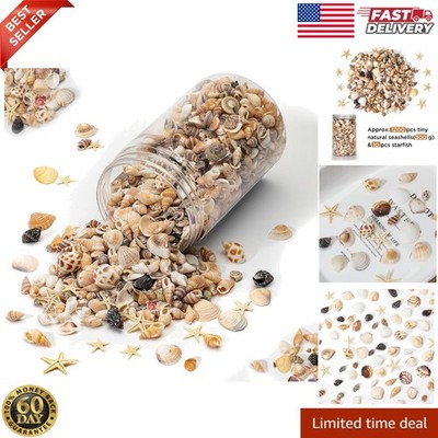 AGNURCADE about 1200Pcs(240G) Small Sea Shells Tiny Mixed Natural Spiral Conch S