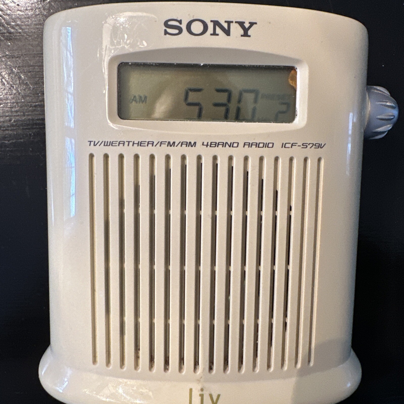 SONY Vintage Shower Mate FM/AM 4 Band Radio TV Weather ICFS79V Tested