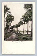 Vintage Palmatto Avenue Florida Linen Postcard by Franz Huld N.Y.