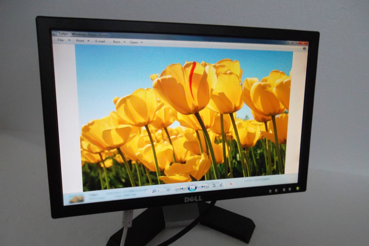 Dell モニター 31j0uXETJgL._AC_UF350,