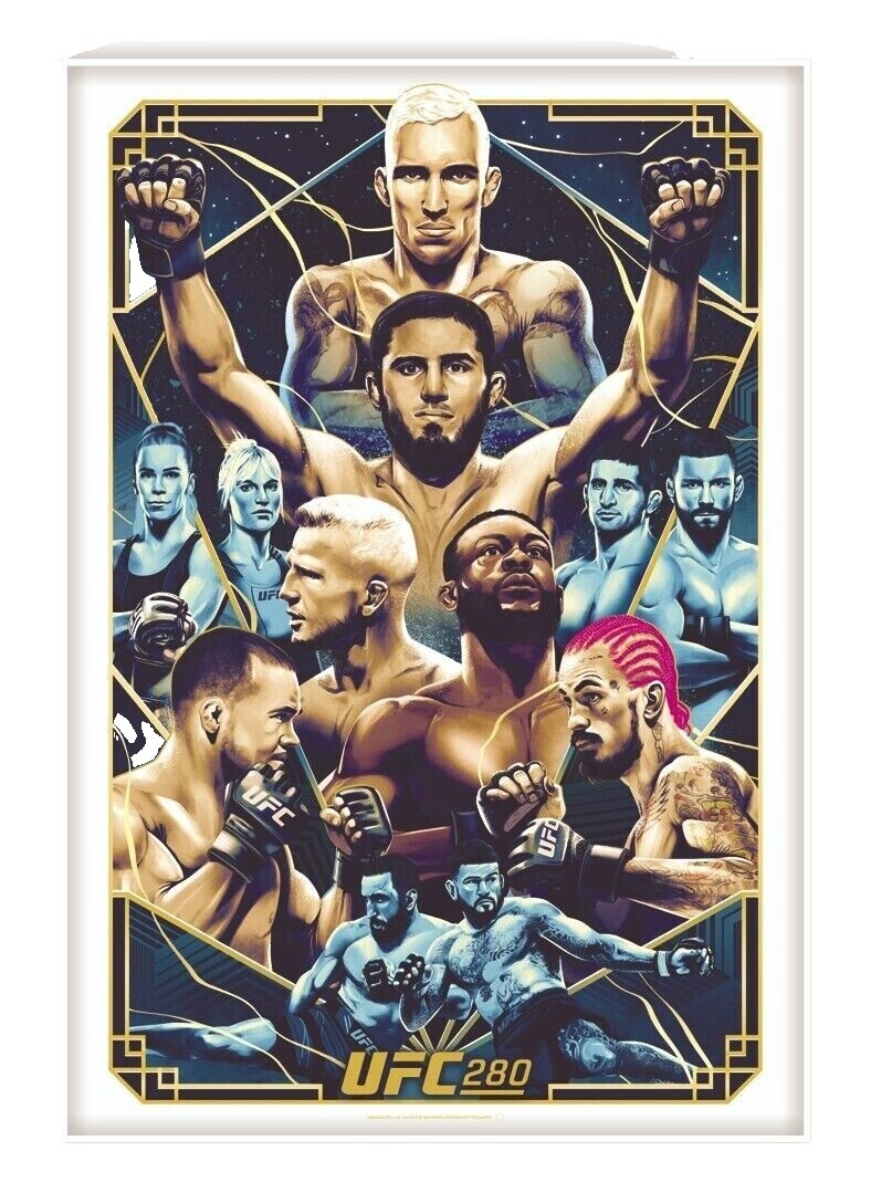 UFC　ルアナ・ピニェーロ　ルーキーカード　5シリ　psa8 UFC ルアナ・ピニェーロ ルーキーカード 5シリ psa8 2023 Panini