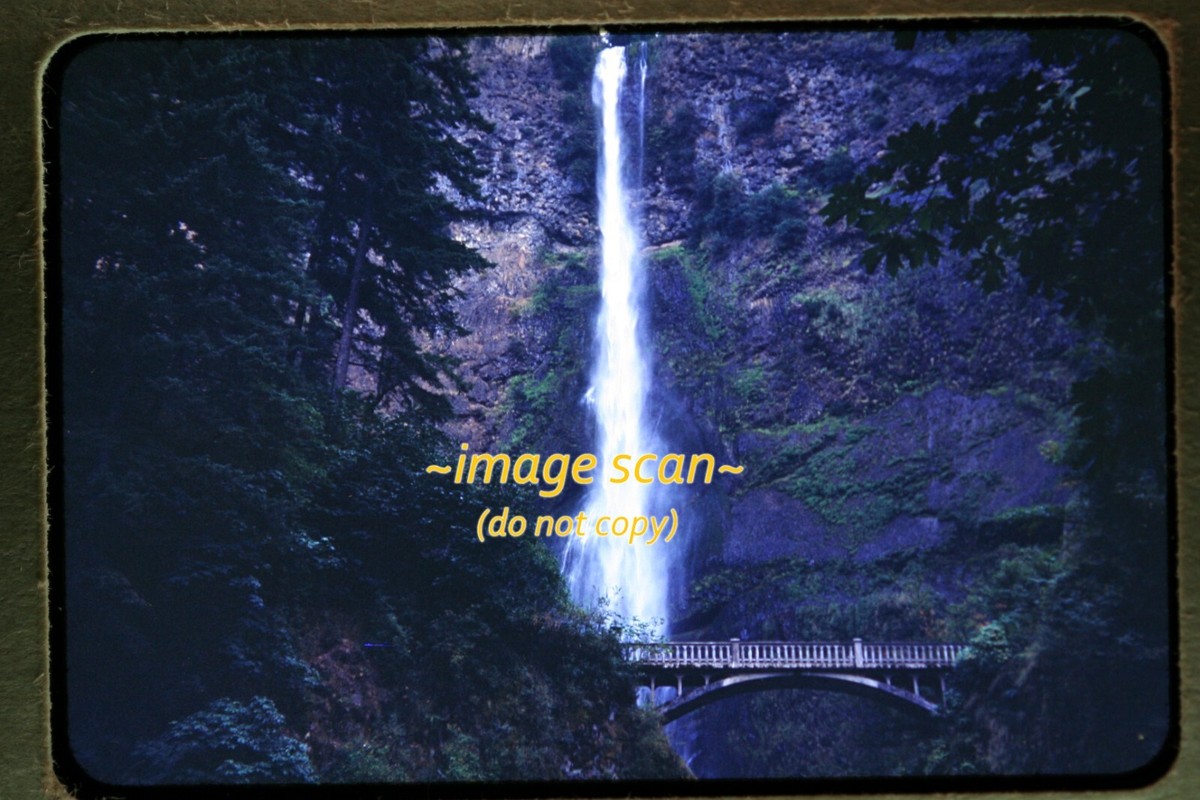 瀑布12 Multnomah Falls Waterfall in Oregon in 1950's, Kodachrome