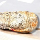 Bild 4 von 8