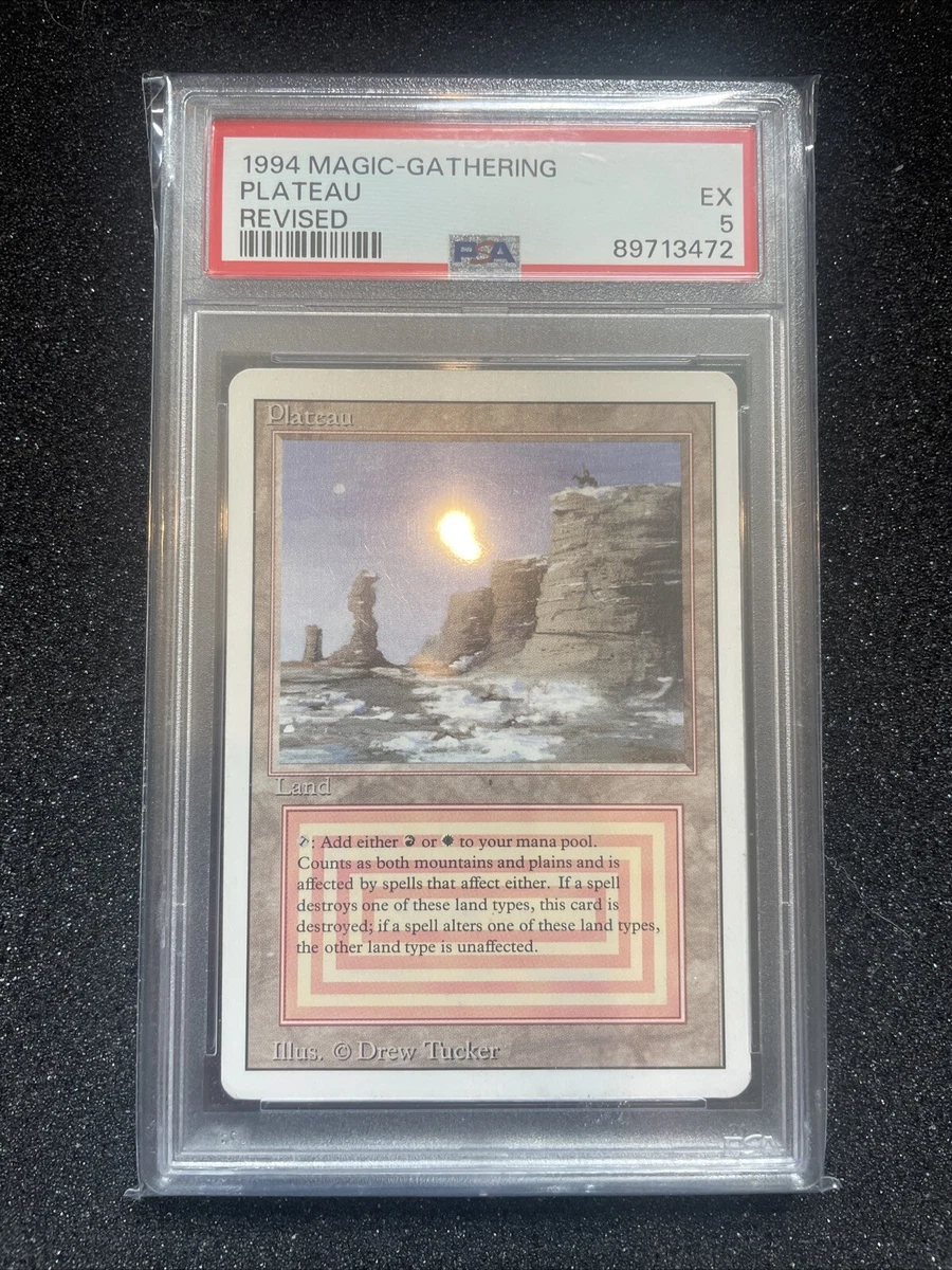 Land Magic: The Gathering Professional Sports Authenticator (PSA