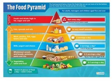 The Food Pyramid Poster Laminated Educational Classroom Teacher Supplies