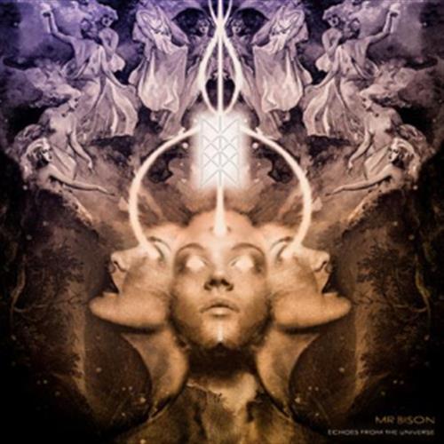 Echoes From The Universe - Mr Bison (Audio CD)