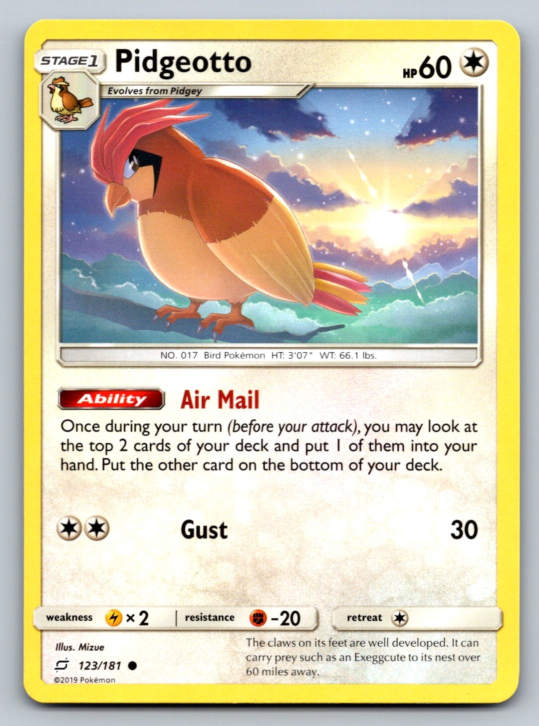 Pokemon Pidgeotto Common SM - Team Up 123/181 NM