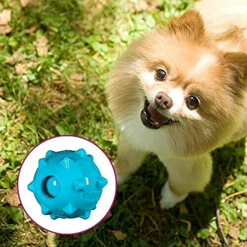 Chase n chomp amazing squeaker ball top