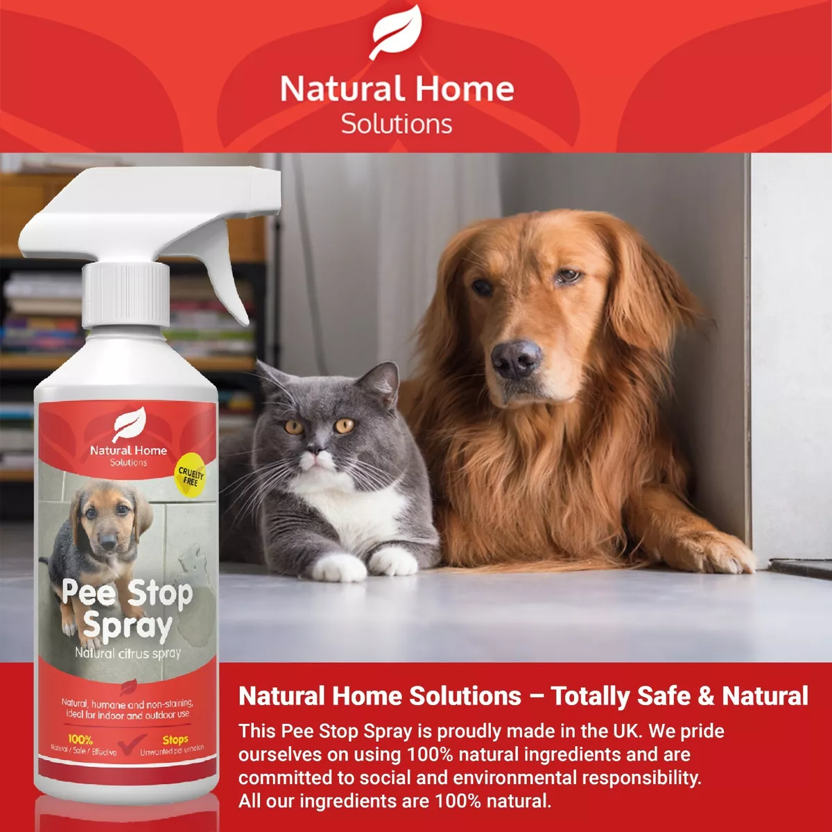 Citrus dog repellent 2025