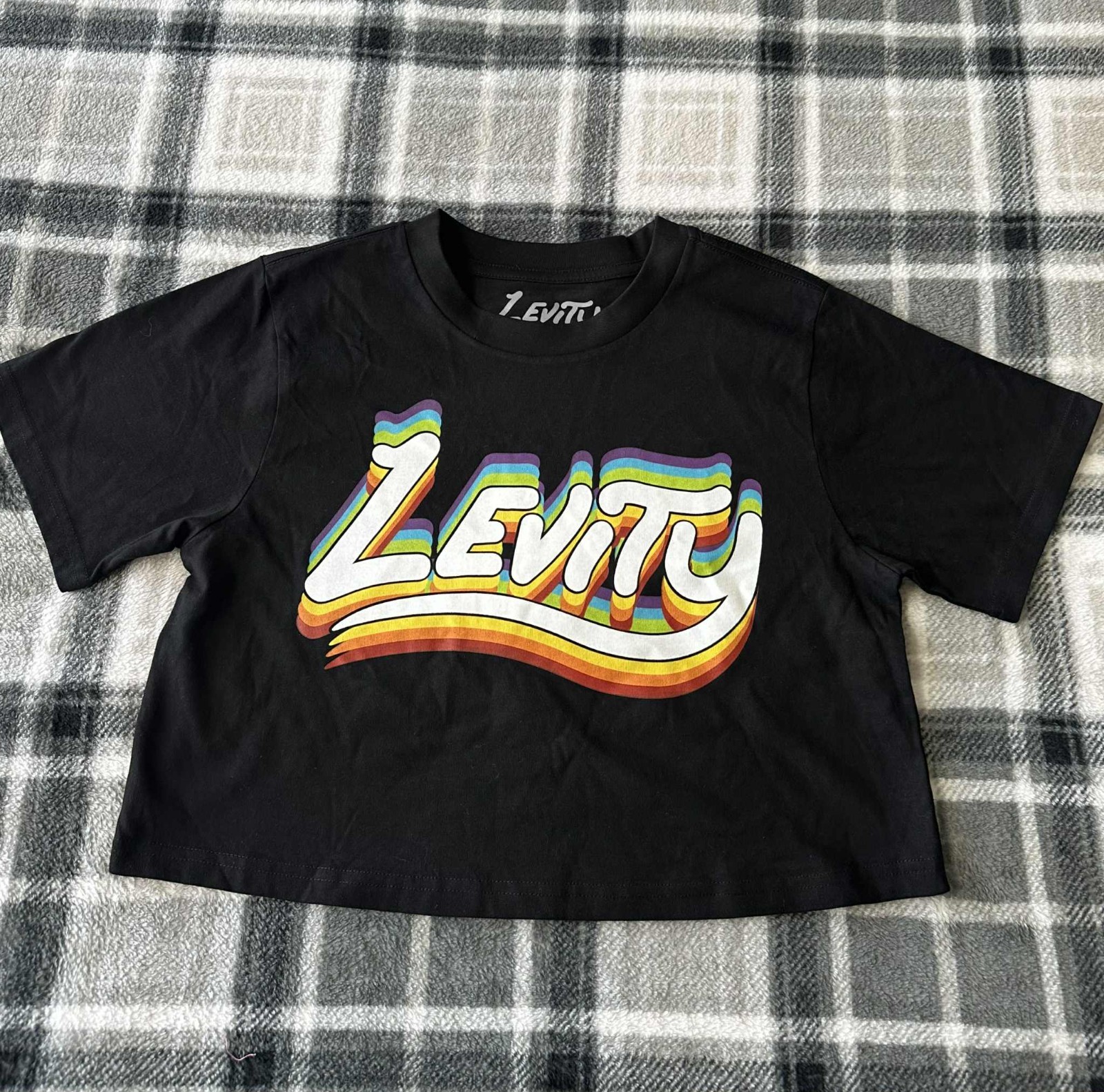 Levity Seeing Colors Crop Tee
