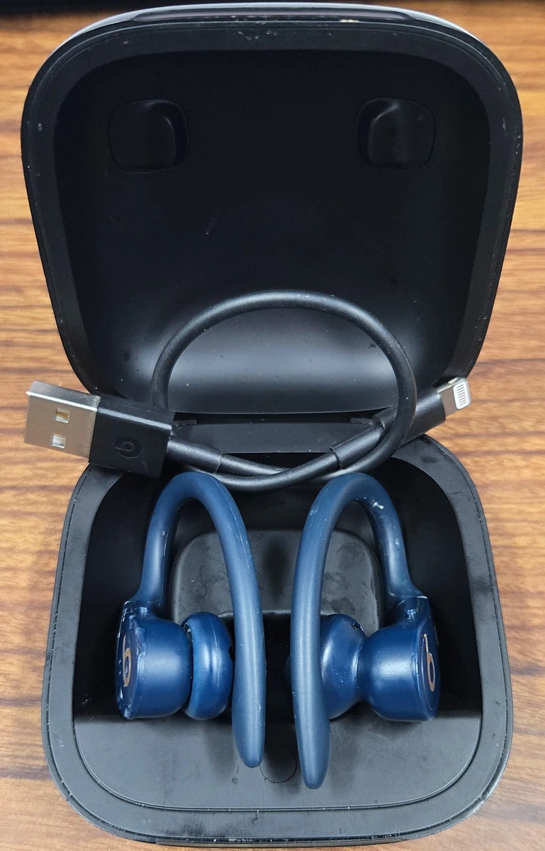 Beats by Dr. Dre Powerbeats Pro Blue Headphones for sale - eBay