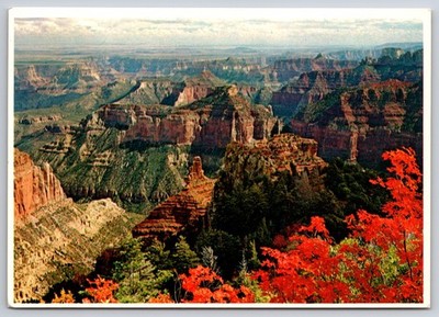 Postcard Geological Formation Terrain Outcrop Badlands Geology Autumn North Rim