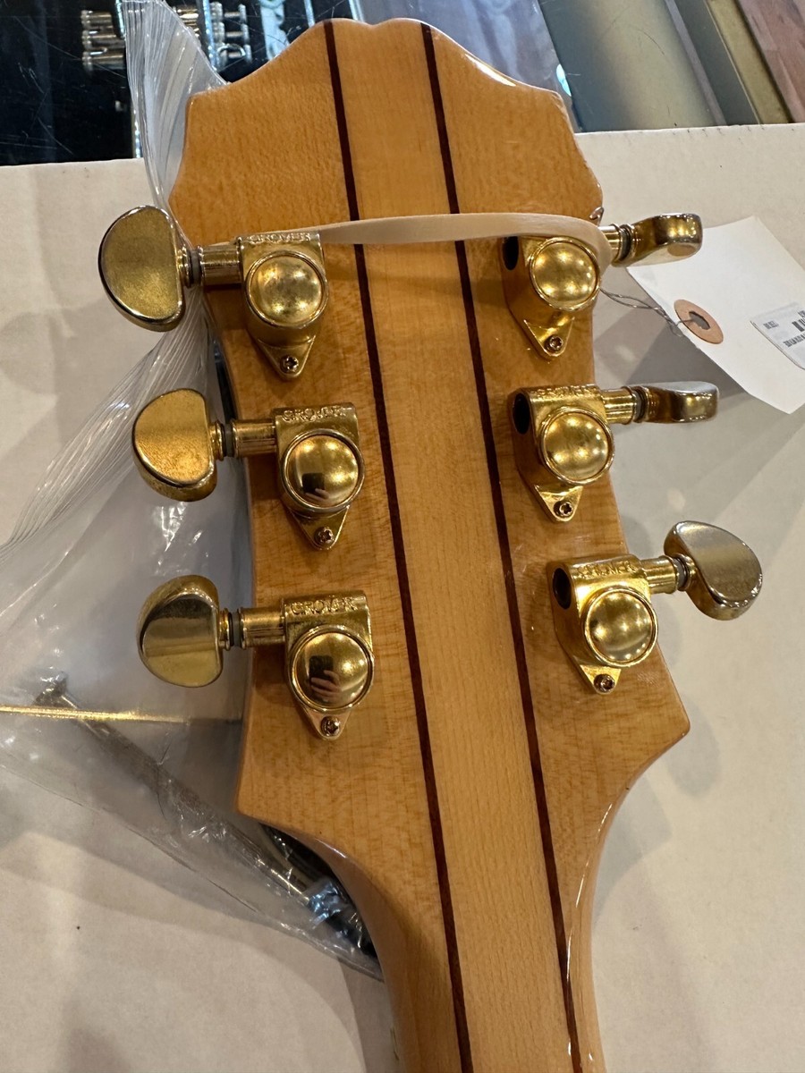 Epiphone Sheraton II NA | eBay