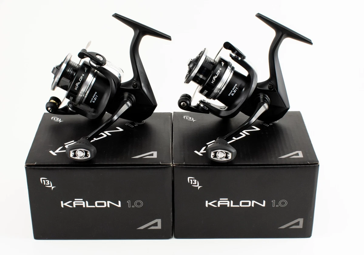 13 Fishing Reel All Saltwater Spinning Fishing Reels for sale | eBay