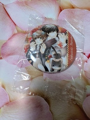 Sekai Ichi Hatsukoi Ritsu Takano