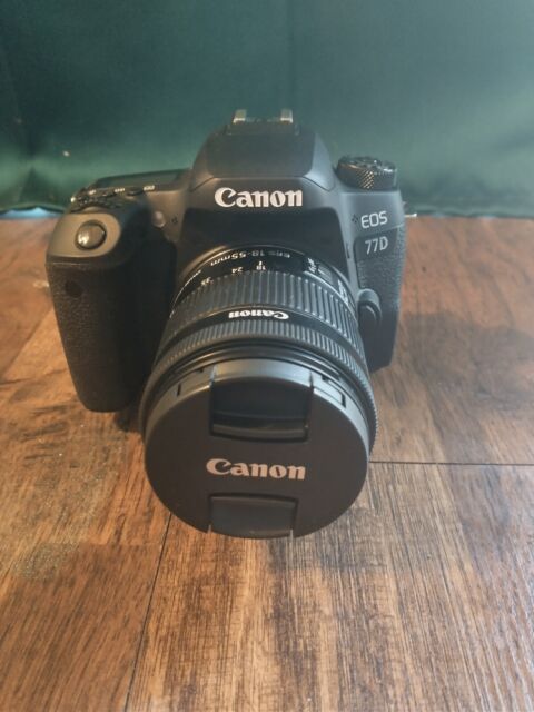 Canon EOS 77D 24.2 MP Digital SLR Camera with EF-S 18-55mm Lens - Black mint