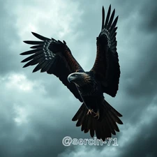 Digital Image Picture Photo Wallpaper Background Desktop AI Art Sample Product