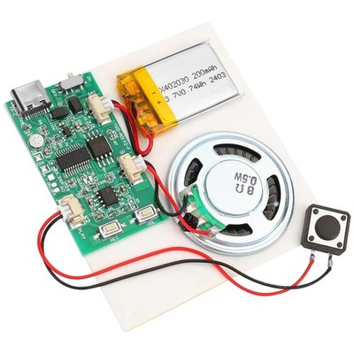 Programmable Sound Recorder Module Chip DIY Music Voice Recording Module 1pc