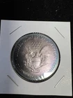 2020 American Silver Eagle 1 oz .999 Fine Silver $1 One Dollar US Mint Toned