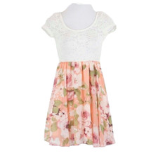 Windsor Sz S NWT Ivory Lace Peach Floral Poly Nylon Fit & Flare Dress 