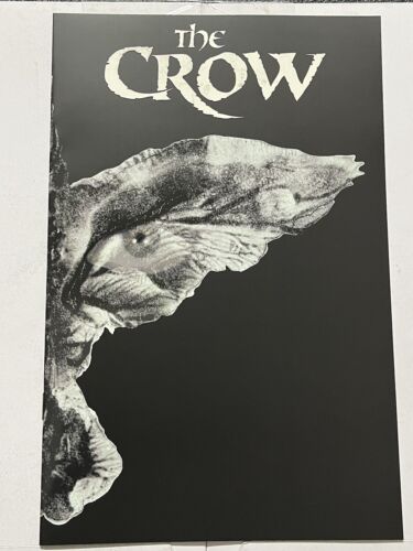 The Crow: Death and Rebirth #1-E Necra Variant Wrap Around Cvr RARE - Afbeelding 1 van 7