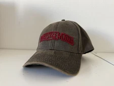 Travis Scott Cactus Jack x WWE Wrestlemania 41 Hat Mocha Color