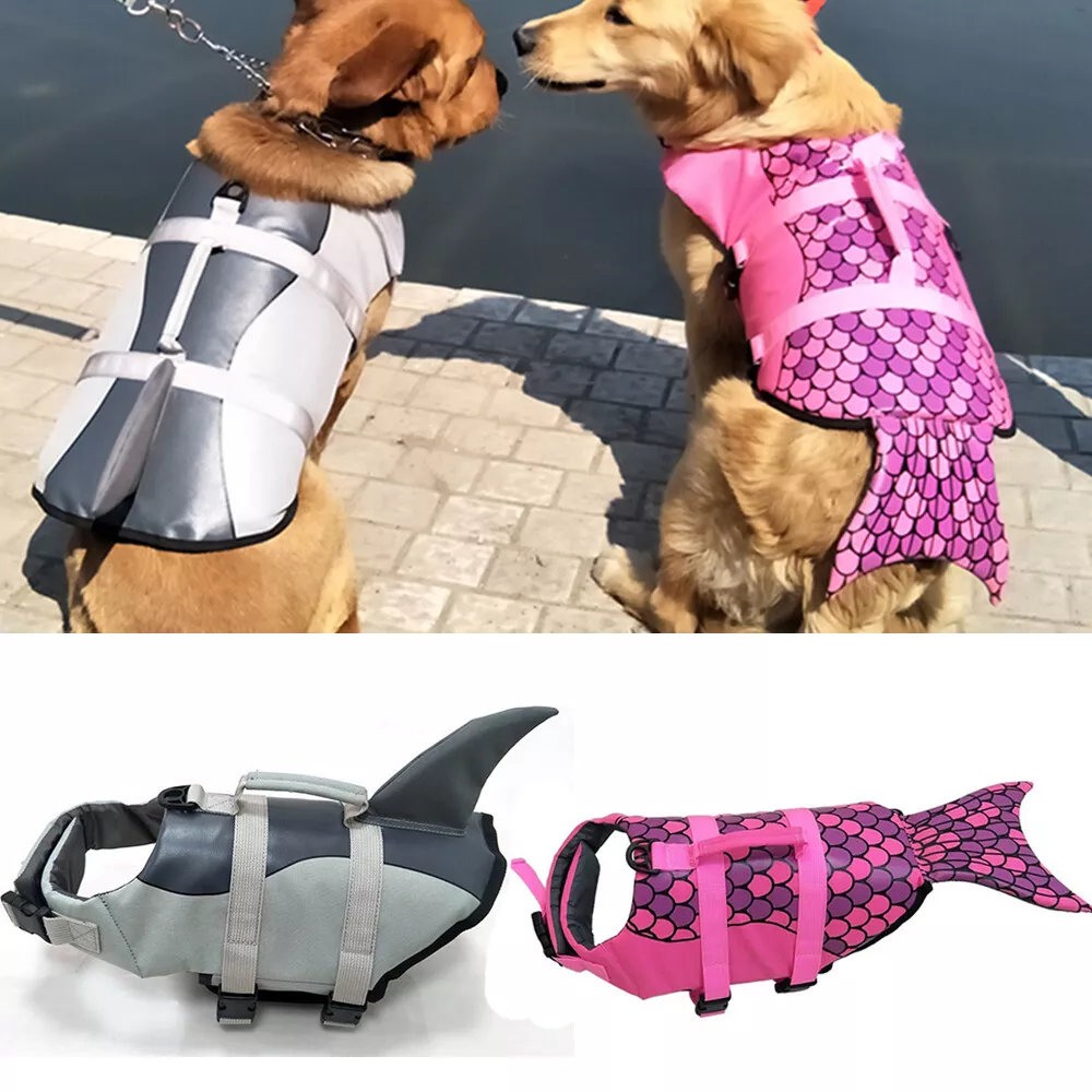 Lightweight dog cheap life jacket