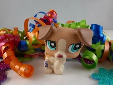 Littlest Pet Shop Brown Cream and Tan Jack Russell Terrier Dog #1302