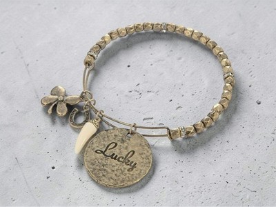 Lucky Burnished Goldtone Adjustable Charm Bracelet  ~ Gift Idea!