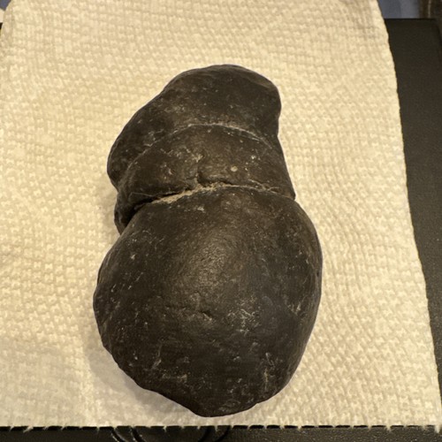 11.6 oz Genuine Fossil Megalodon Meg GREAT WHITE SHARK POOP DUNG - Picture 3 of 10