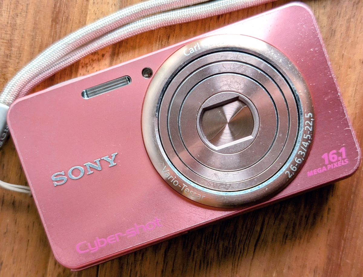 Japanese Only Sony Cyber-Shot DSC-W570 16.1MP Digital Camera japan