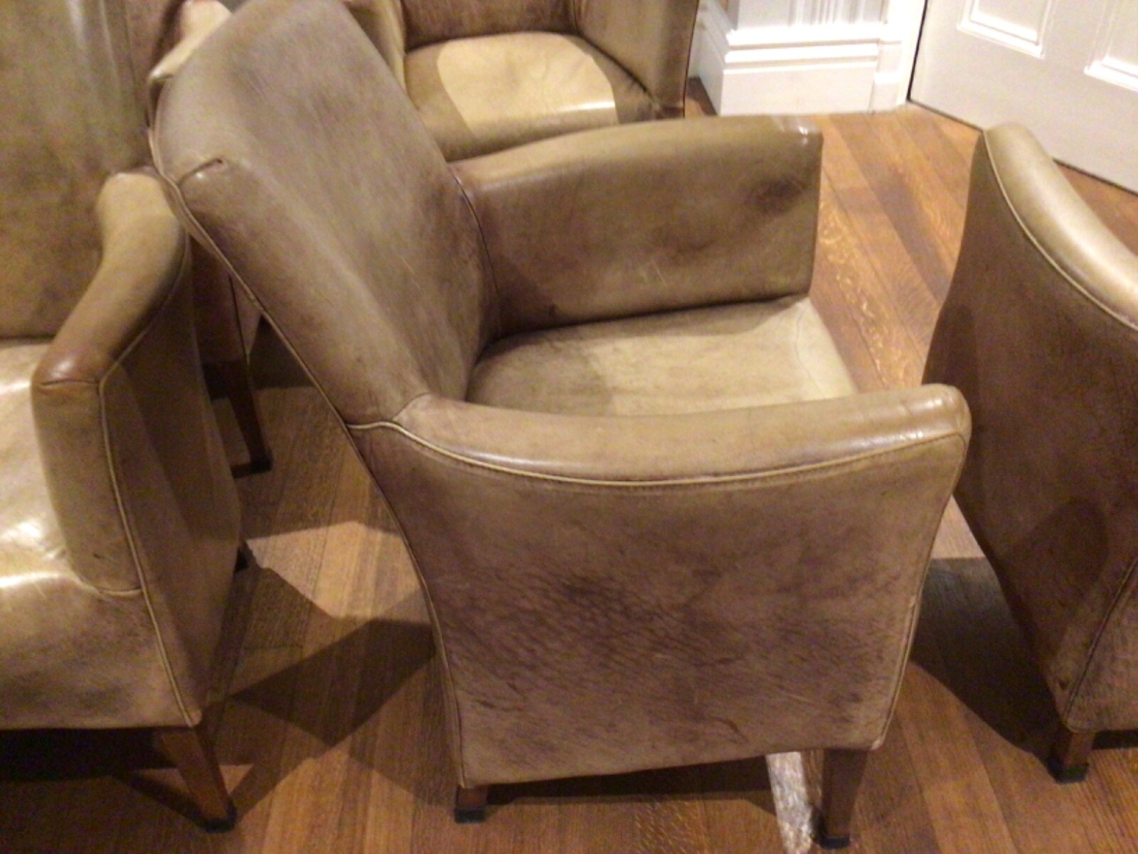 leather dining chairs (Peppermill Interiors) 8 available eBay